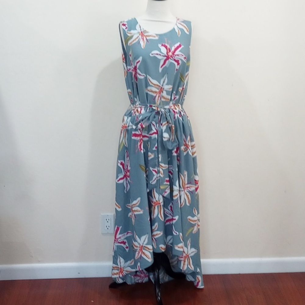 Anthropologie Hutch Aislinn Sleeveless High-Low Blue Floral Midi Dress, Size 1X